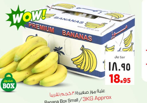  Banana  in Nesto in KSA, Saudi Arabia, Saudi - Al Hasa