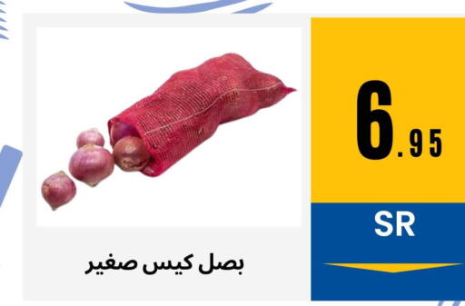  Onion  in أسواق محاسن المركزية in مملكة العربية السعودية, السعودية, سعودية - الأحساء‎