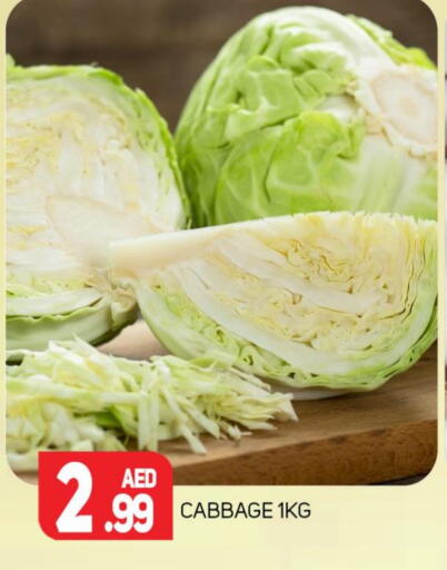  Cabbage  in مركز النخيل هايبرماركت in الإمارات العربية المتحدة , الامارات - الشارقة / عجمان