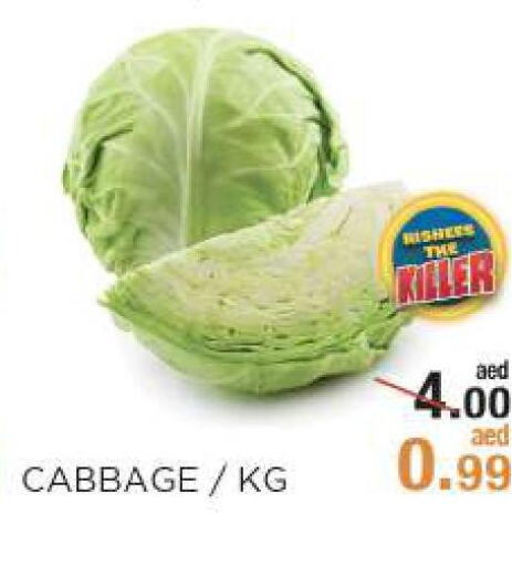  Cabbage  in Rishees Hypermarket in UAE - Abu Dhabi