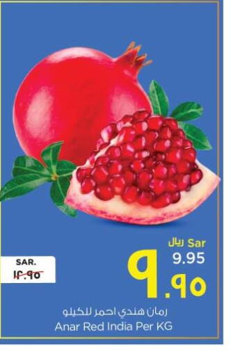  Pomegranate  in Nesto in KSA, Saudi Arabia, Saudi - Al Hasa