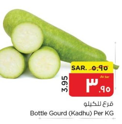 Bottlegourd  in Nesto in KSA, Saudi Arabia, Saudi - Al Hasa