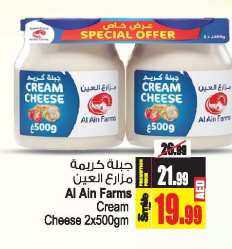 AL AIN Cream Cheese  in Ansar Gallery in UAE - Dubai