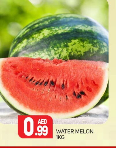 Watermelon  in Palm Centre LLC in UAE - Sharjah / Ajman