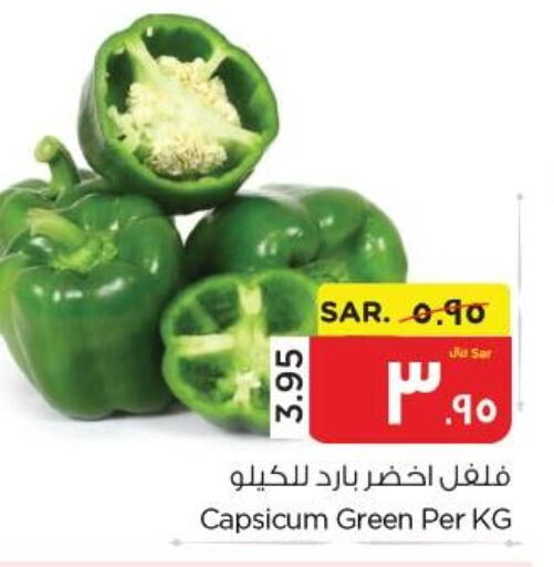  Chilli / Capsicum  in نستو in مملكة العربية السعودية, السعودية, سعودية - الأحساء‎