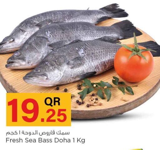  in Safari Hypermarket in Qatar - Al Shamal