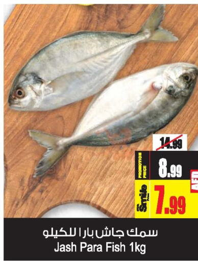  King Fish  in أنصار جاليري in الإمارات العربية المتحدة , الامارات - دبي
