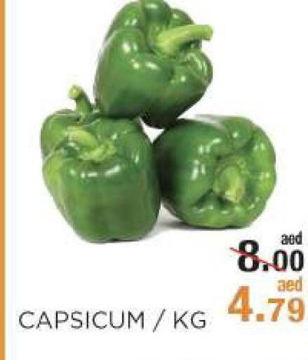 Chilli / Capsicum  in Rishees Hypermarket in UAE - Abu Dhabi