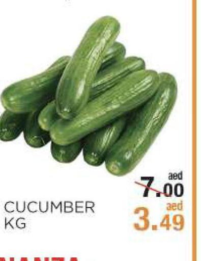  Cucumber  in Rishees Hypermarket in UAE - Abu Dhabi