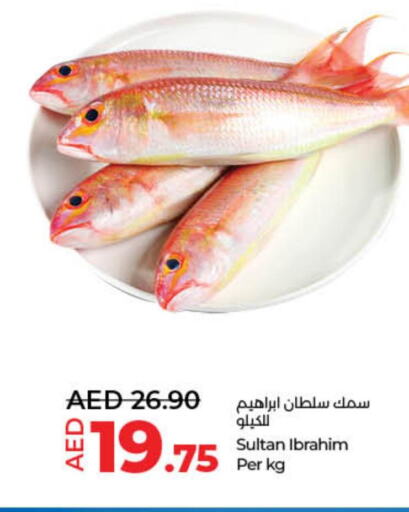  in Lulu Hypermarket in UAE - Ras al Khaimah