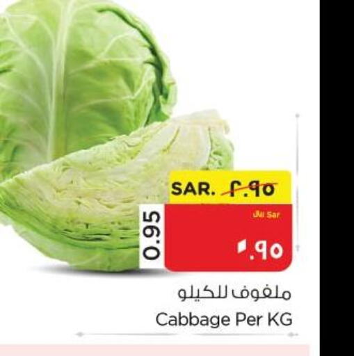  Cabbage  in Nesto in KSA, Saudi Arabia, Saudi - Al Hasa