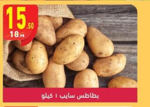  Potato  in Mahmoud El Far in Egypt - Cairo