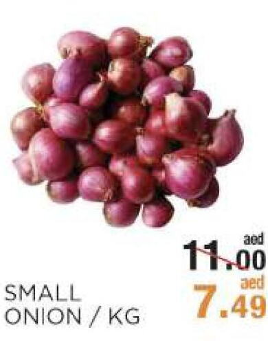  Onion  in Rishees Hypermarket in UAE - Abu Dhabi