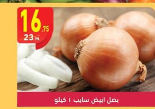  Onion  in Mahmoud El Far in Egypt - Cairo