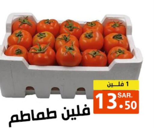  Tomato  in أسواق درة الضاحية in مملكة العربية السعودية, السعودية, سعودية - الرياض