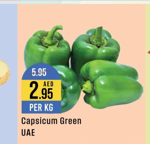  Chilli / Capsicum  in ويست زون سوبرماركت in الإمارات العربية المتحدة , الامارات - دبي