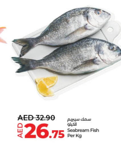  Tuna  in Lulu Hypermarket in UAE - Umm al Quwain