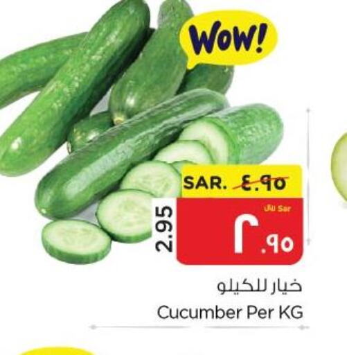  Cucumber  in Nesto in KSA, Saudi Arabia, Saudi - Al Hasa