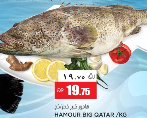  in Grand Hypermarket in Qatar - Al Wakra