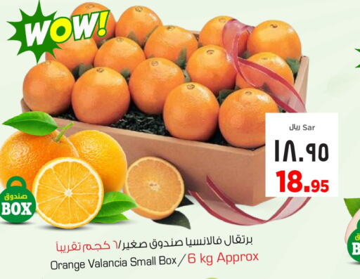  Orange  in Nesto in KSA, Saudi Arabia, Saudi - Al Hasa