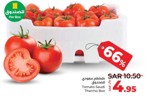  Tomato  in LULU Hypermarket in KSA, Saudi Arabia, Saudi - Yanbu