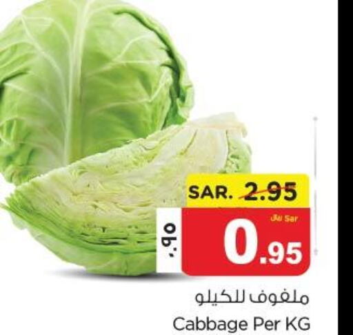  Cabbage  in نستو in مملكة العربية السعودية, السعودية, سعودية - المنطقة الشرقية