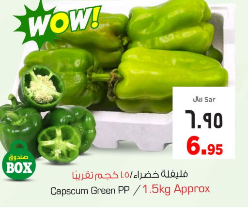  Chilli / Capsicum  in Nesto in KSA, Saudi Arabia, Saudi - Al Hasa