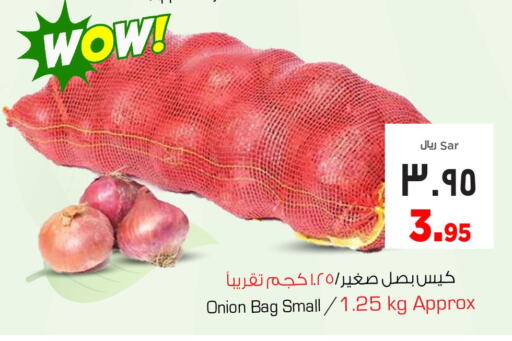  Onion  in Nesto in KSA, Saudi Arabia, Saudi - Al Hasa