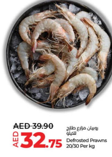  Tuna  in Lulu Hypermarket in UAE - Ras al Khaimah