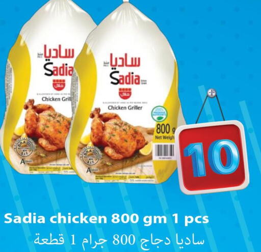 SADIA Frozen Whole Chicken  in مجموعة ريجنسي in قطر - الوكرة