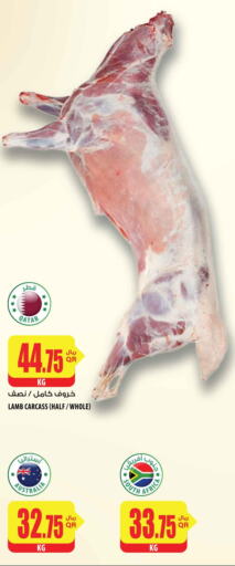  Mutton / Lamb  in شركة الميرة للمواد الاستهلاكية in قطر - الخور