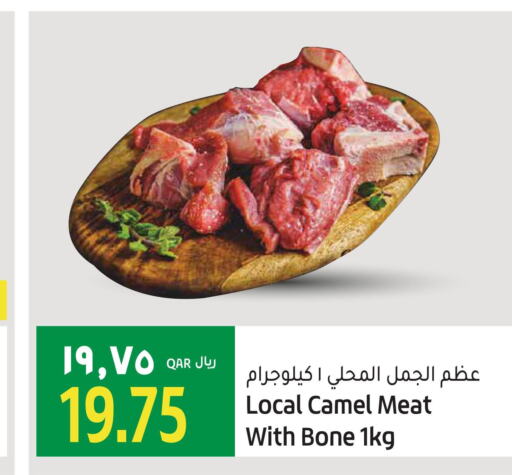  Camel meat  in جلف فود سنتر in قطر - الوكرة