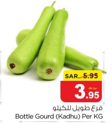  Gourd  in نستو in مملكة العربية السعودية, السعودية, سعودية - المجمعة