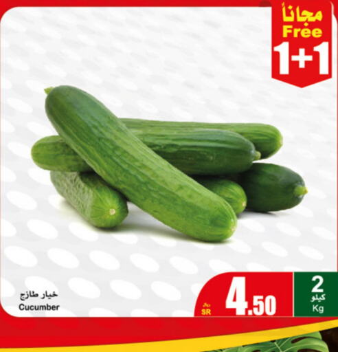  Cucumber  in Othaim Markets in KSA, Saudi Arabia, Saudi - Ar Rass