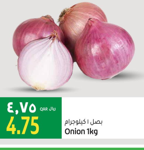  Onion  in جلف فود سنتر in قطر - أم صلال