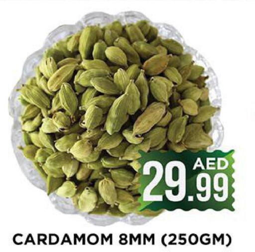 AJMI Spices / Masala  in Ainas Al madina hypermarket in UAE - Sharjah / Ajman