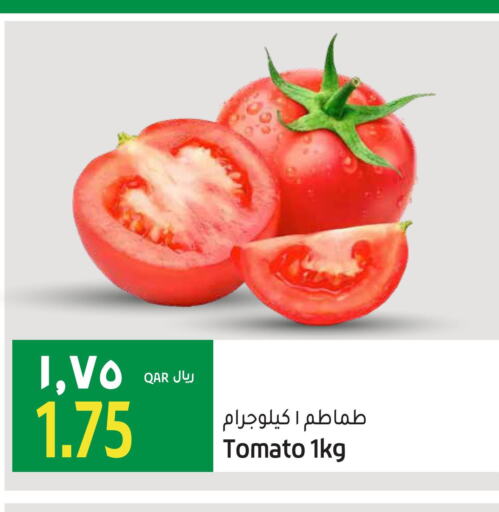  Tomato  in جلف فود سنتر in قطر - الشحانية
