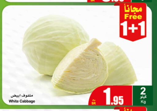  Cabbage  in أسواق عبد الله العثيم in مملكة العربية السعودية, السعودية, سعودية - حفر الباطن