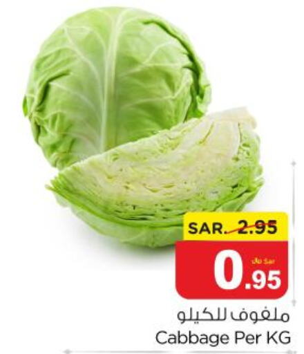  Cabbage  in نستو in مملكة العربية السعودية, السعودية, سعودية - المجمعة