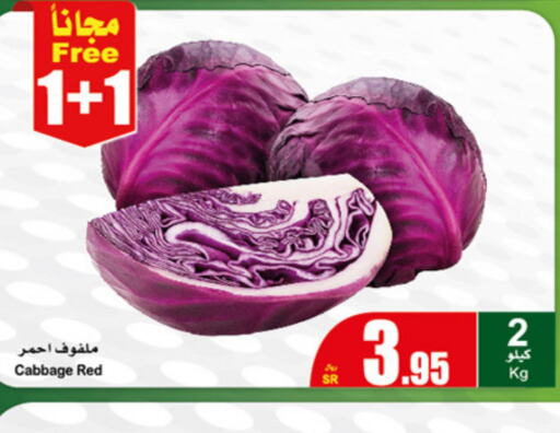  Cabbage  in أسواق عبد الله العثيم in مملكة العربية السعودية, السعودية, سعودية - عنيزة