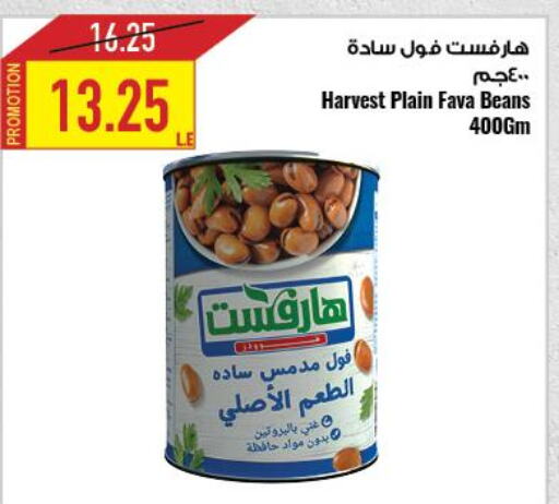  Fava Beans  in Oscar Grand Stores  in Egypt - Cairo