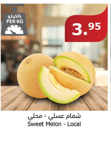  Sweet melon  in Al Raya in KSA, Saudi Arabia, Saudi - Ta'if