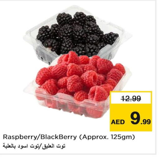  Berries  in Nesto Hypermarket in UAE - Ras al Khaimah