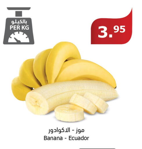  Banana  in Al Raya in KSA, Saudi Arabia, Saudi - Bishah