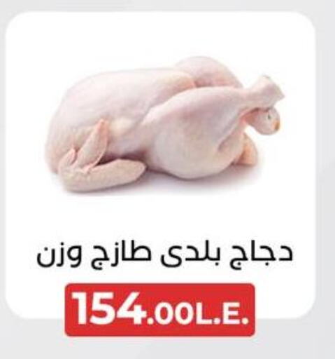  Chicken Fillet  in عرفة ماركت in Egypt - القاهرة