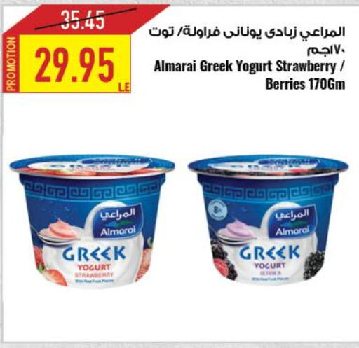 ALMARAI Greek Yoghurt  in  أوسكار جراند ستورز  in Egypt - القاهرة