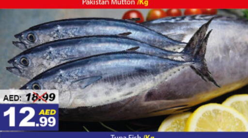  Tuna  in ديزرت فريش ماركت in الإمارات العربية المتحدة , الامارات - أبو ظبي