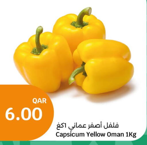  Chilli / Capsicum  in سيتي هايبرماركت in قطر - الخور