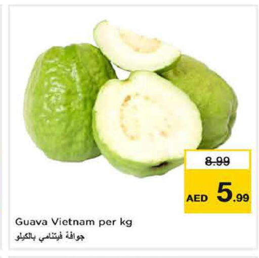  Guava  in لاست تشانس in الإمارات العربية المتحدة , الامارات - الشارقة / عجمان