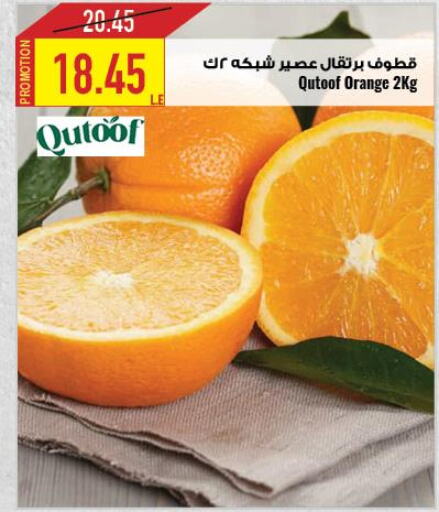  Orange  in Oscar Grand Stores  in Egypt - Cairo